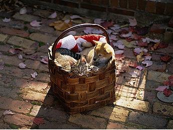 有史以来最多！《毁灭战士：黑暗时代》有22个关卡